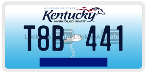 T8B441  license plate in KY