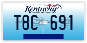 T8C691  license plate in KY