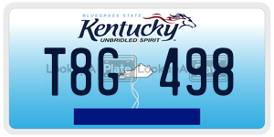 T8G498  license plate in KY
