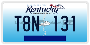 T8N131  license plate in KY