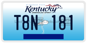 T8N181  license plate in KY
