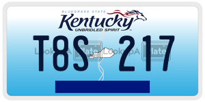 T8S217  license plate in KY
