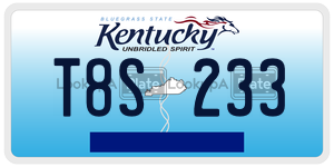 T8S233  license plate in KY