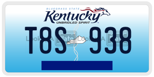 T8S938  license plate in KY