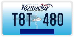 T8T480  license plate in KY