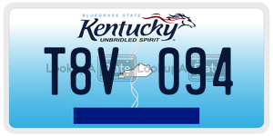 T8V094  license plate in KY