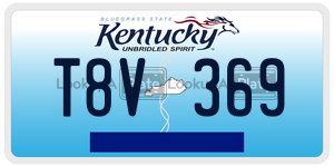 T8V369  license plate in KY