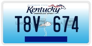T8V674  license plate in KY