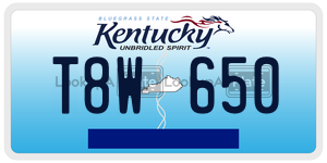 T8W650  license plate in KY