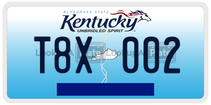 T8X002  license plate in KY