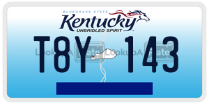 T8Y143  license plate in KY