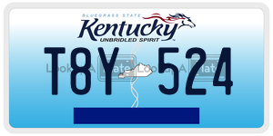 T8Y524  license plate in KY