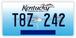 T8Z242  license plate in KY