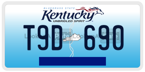 T9D690  license plate in KY
