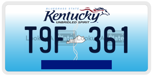 T9F361  license plate in KY
