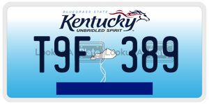 T9F389  license plate in KY