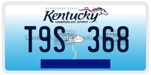 T9S368  license plate in KY