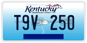 T9V250  license plate in KY