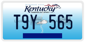 T9Y565  license plate in KY