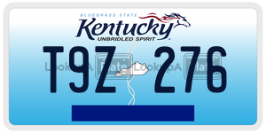 T9Z276  license plate in KY