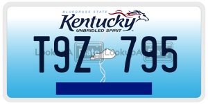 T9Z795  license plate in KY