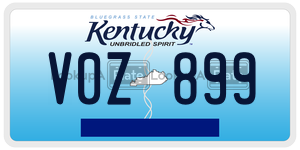 V0Z899  license plate in KY