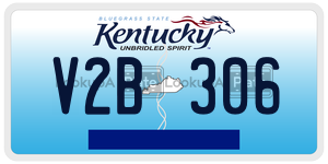 V2B306  license plate in KY