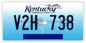 V2H738  license plate in KY