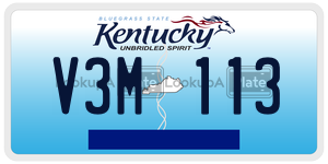 V3M113  license plate in KY