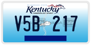 V5B217  license plate in KY