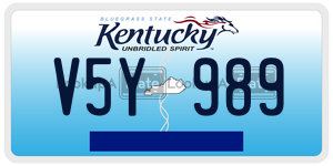 V5Y989  license plate in KY