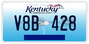 V8B428  license plate in KY