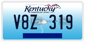 V8Z319  license plate in KY