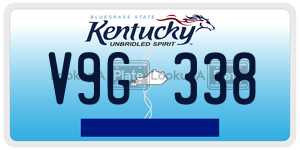 V9G338  license plate in KY