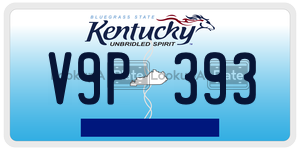 V9P393  license plate in KY