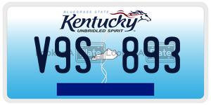V9S893  license plate in KY