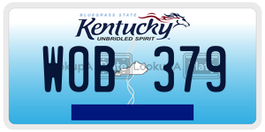 W0B379  license plate in KY