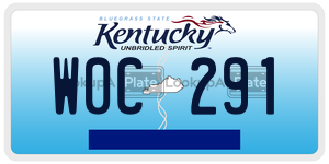 W0C291  license plate in KY