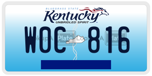W0C816  license plate in KY