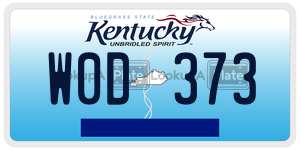 W0D373  license plate in KY