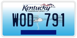 W0D791  license plate in KY