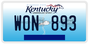 W0N893  license plate in KY