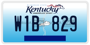 W1B829  license plate in KY