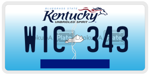 W1C343  license plate in KY