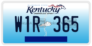 W1R365  license plate in KY