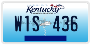 W1S436  license plate in KY