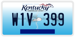 W1V399  license plate in KY