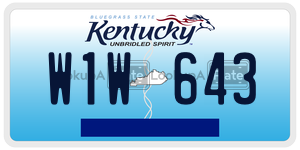 W1W643  license plate in KY