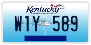 W1Y589  license plate in KY