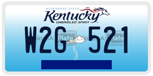 W2G521  license plate in KY
